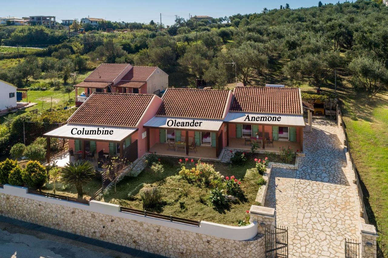 Garden Apartments Agios Stefanos Corfu Agios Stefanos Avliotes  Exterior foto